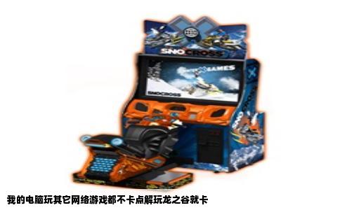 我的电脑玩其它网络游戏都不卡点解玩龙之谷就卡