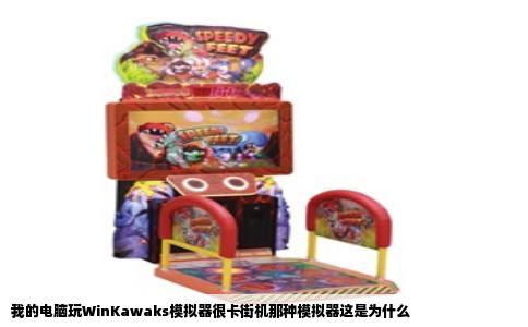 我的电脑玩WinKawaks模拟器很卡街机那种模拟器这是为什么