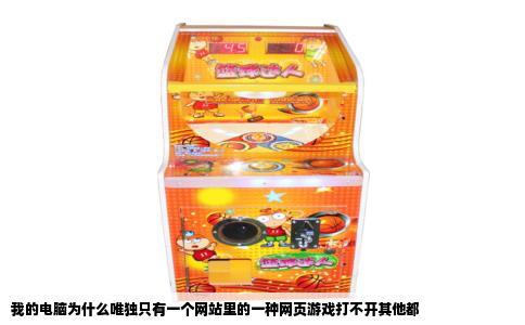 我的电脑为什么唯独只有一个网站里的一种网页游戏打不开其他都