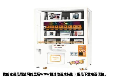 我的宽带是局域网的里玩WOW和其他游戏特别卡但是下载东西很快。