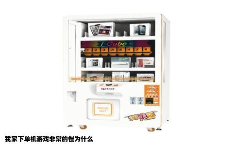 我家下单机游戏非常的慢为什么