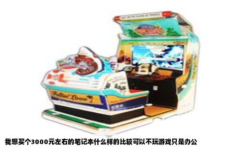 我想买个3000元左右的笔记本什么样的比较可以不玩游戏只是办公