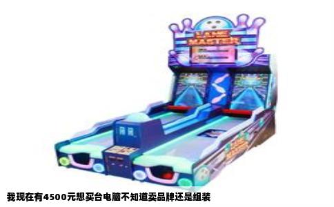 我现在有4500元想买台电脑不知道卖品牌还是组装