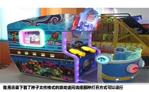 我用迅雷下载了种子文件格式的游戏请问选择那种打开方式可以运行