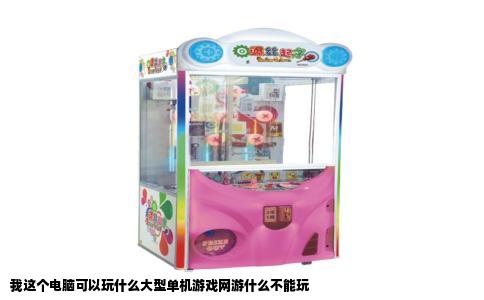 我这个电脑可以玩什么大型单机游戏网游什么不能玩