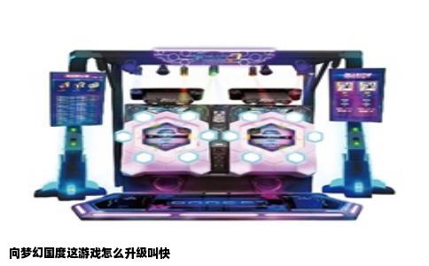 向梦幻国度这游戏怎么升级叫快