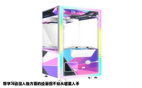 想学习动漫人物方面的绘画但不知从哪里入手