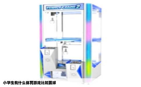 小学生有什么体育游戏比如踢球