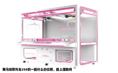 雅马哈摩托车250的一般什么价位啊、能上保险吗