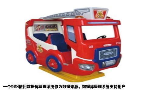 一个组织使用数据库管理系统作为数据来源。数据库管理系统支持用户