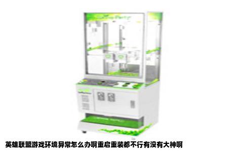 英雄联盟游戏环境异常怎么办啊重启重装都不行有没有大神啊