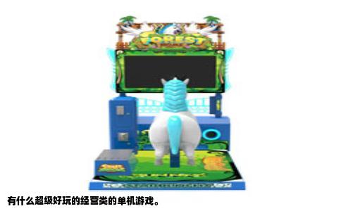 有什么超级好玩的经营类的单机游戏。