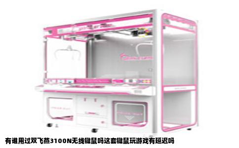 有谁用过双飞燕3100N无线键鼠吗这套键鼠玩游戏有延迟吗