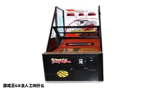 游戏王GX主人工叫什么