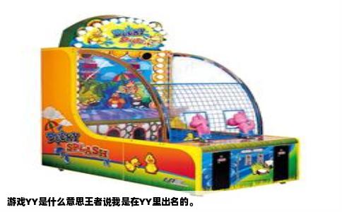 游戏YY是什么意思王者说我是在YY里出名的。